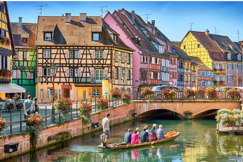 Апартаменти Colmar Centre - Le Schickele Екстер'єр фото